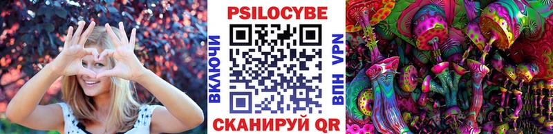 Псилоцибиновые грибы Psilocybine cubensis  Сураж 