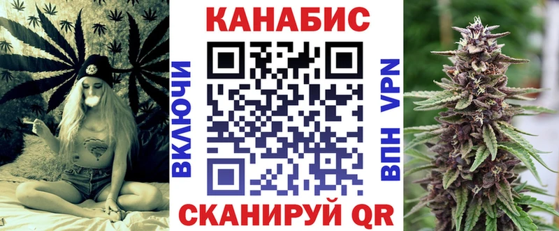 магазин продажи   Сураж  Каннабис индика 
